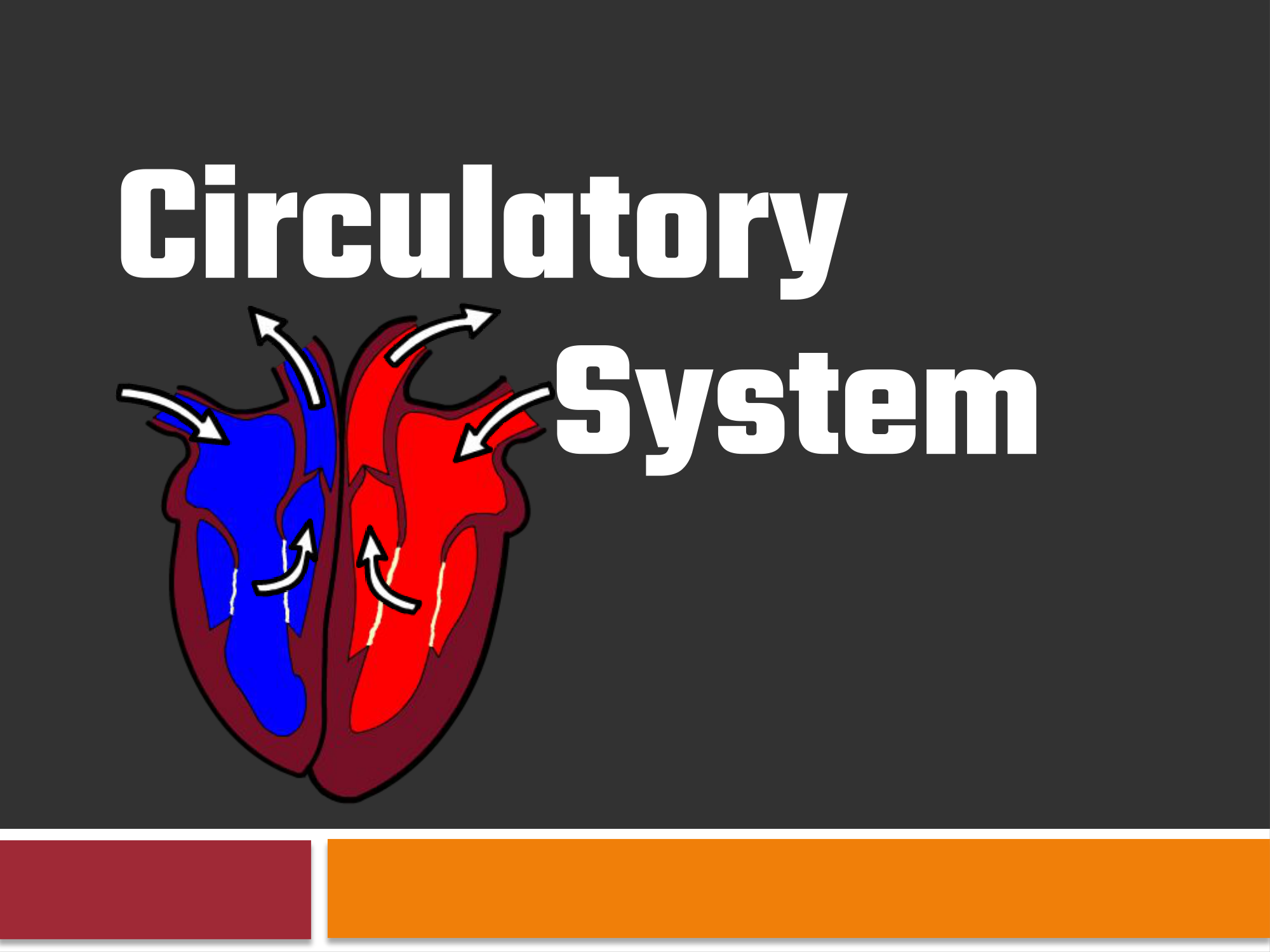 Slide 1